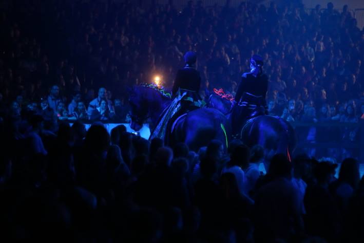 Shire Horses im großen Ring